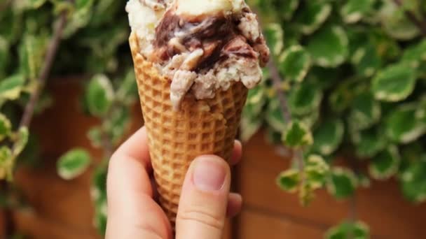 Mano Che Tiene Gelato Fatto Casa Gelato Vegano Senza Latticini — Video Stock