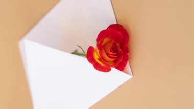 4k dikey olarak güzel kırmızı gülleri posta zarfında, tarafsız bej arka planda, metin için kopyalama alanı, bahar zamanı, tatil için tebrik kartı. Çiçek teslimatı. Hassas kırmızı sarı