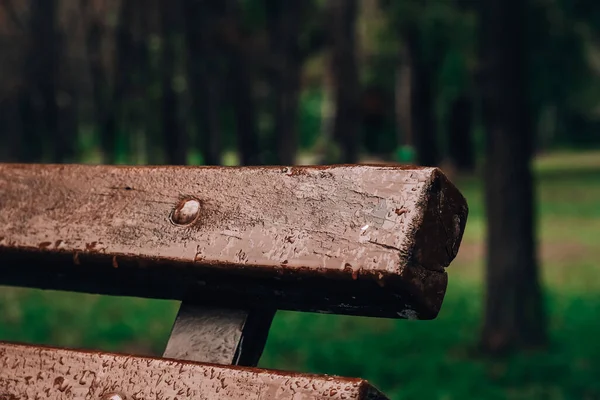 Βρεγμένο Παγκάκι Στο Πάρκο Στη Βροχή Βροχερός Καιρός Ξύλινη Καρέκλα — Φωτογραφία Αρχείου