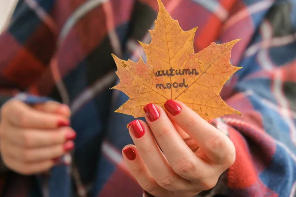 Stylish red female nails. Fall leaf with text AUTUMN MOOD in hands. Modern Beautiful manicure. Autumn winter nail design concept of beauty treatment. Gel nails. Skin care. Wellness. Trendy colors.