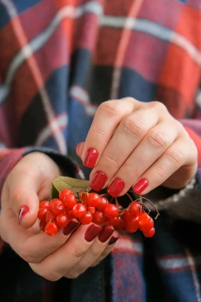 Stylish red female nails. Hands Holding Red Currants. Modern Beautiful manicure. Autumn winter nail design concept of beauty treatment. Gel nails. Skin care. Wellness. Trendy colors.