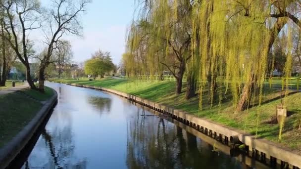 Parque Cidade Tempo Ensolarado Primavera Verão Parque Com Reflexos Fluviais — Vídeo de Stock