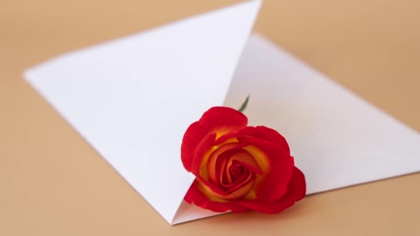 4Kズームアウト中立ベージュの背景に郵便封筒の美しい赤いバラの花 テキストのコピースペース 春時間 休日のグリーティングカード 花の配達だ 繊細な赤い黄色のバラ — ストック動画