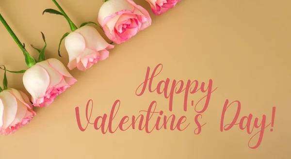 Delicate Pink Roses Beige Background Happy Valentines Day Text Minimal — Φωτογραφία Αρχείου