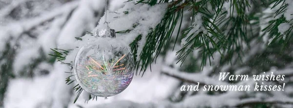 Warm wishes and snowman kisses Inspiration joke quote phrase Transparent trendy glass Christmas ball on snowy branch firs in winter forest. Winter holiday background. Happy new year Merry Christmas