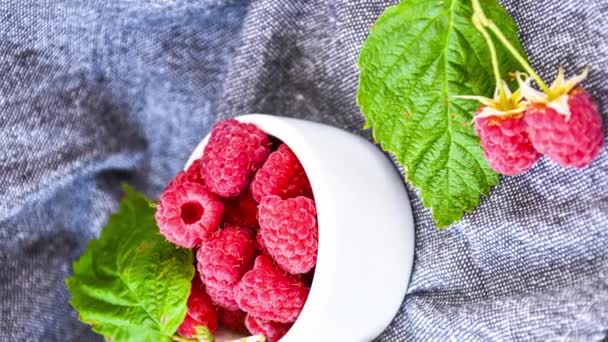 Zoom Out Vertical Ripe Red Raspberries White Bowl Green Leaves — Stockvideo