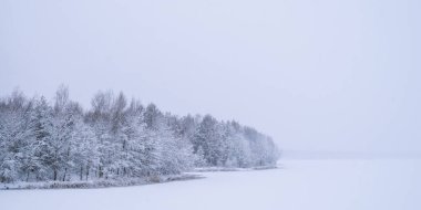 Kış tatili orman manzarası. Soğuk bir günde karla kaplı çayırların dramatik manzarası. Resim duvar kağıtları. Muhteşem doğa görüntüsü. Mutlu yıllar ve mutlu noeller tebrik kartı. Boşluğu kopyala
