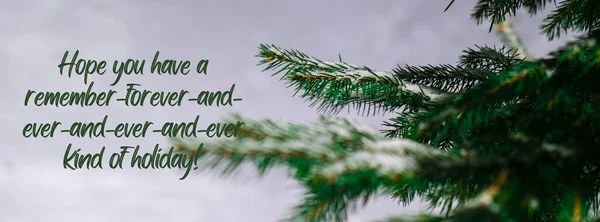 Hope you have a remember-forever-and-ever-and-ever-and-ever kind of holiday Inspiration joke quote phrase Coniferous branches covered with hoarfrost. Winter snow background. Pine fir tree Banner