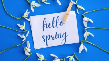 4k yakınlaştır Tebrik kartı metni HELLO İlkbahar mektupları kartopu çiçekleri ile. Erken bahar çiçekleri. İlkbahar. Taze buket. İleti