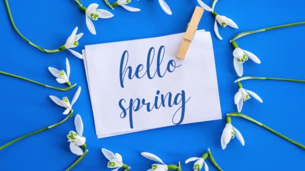 Zoom Out Κείμενο Ευχετήριας Κάρτας Hello Spring Γράμματα Λουλούδια Χιονιού — Αρχείο Βίντεο