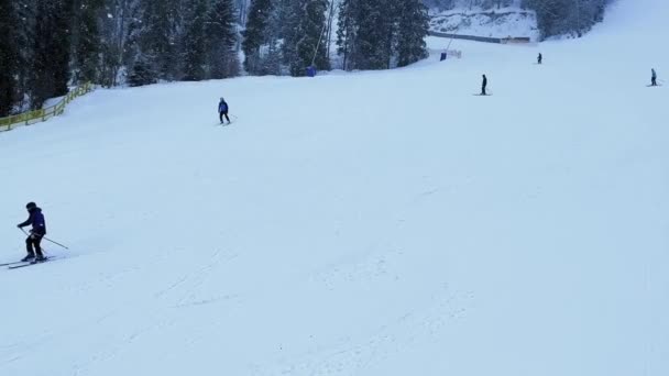 Skiers Skiing Downhill Winter Resort Mountains Aerial Top View Ski — Stockvideo