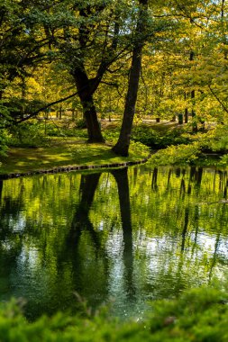 Beautiful autumn lake and forest. Nature in fall. Reflection of trees in the water. Abstract natural background. Blurry silhouettes of many green trees, leaves reflect on peaceful surface of river
