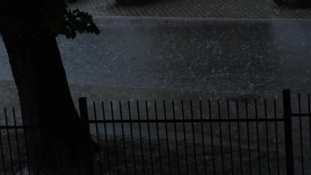 Deszcz Ulewa Deszcz Burza Lecie Zielone Drzewa Tle Wiatr Deszczowa — Wideo stockowe