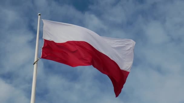 Die Flagge Polens Weht Wind Gegen Den Schönen Blauen Himmel — Stockvideo