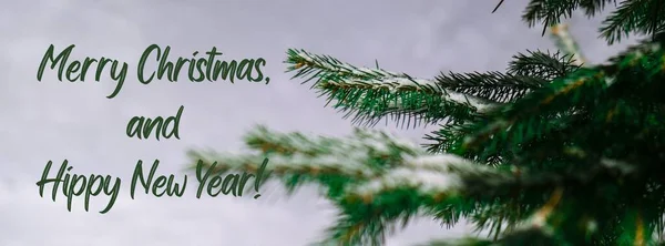 Веселого Різдва Хіппі Нового Року Жартівливі Цитати Коніферусні Гілки Покриті — стокове фото