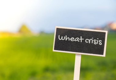 Tahta bilgi etiketi imzası ve buğday buğday krizi tarımsal alan mesajına karşı. Küresel açlık, enflasyon, yüksek fiyatlar, buğday krizi yaşam giderlerini ve yoksulluğu artıran mali kriz