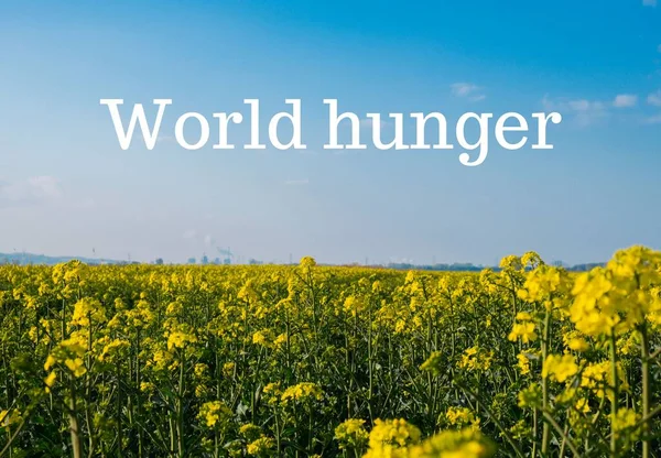 Текст Повідомлення World Hunger Проти Оскверненого Сільськогосподарського Поля Глобальний Голод — стокове фото