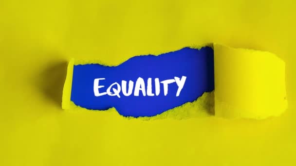 Zoom Out Diversity Inclusion Equality Lettering Text Diversity Age Ethnicity — Stockvideo