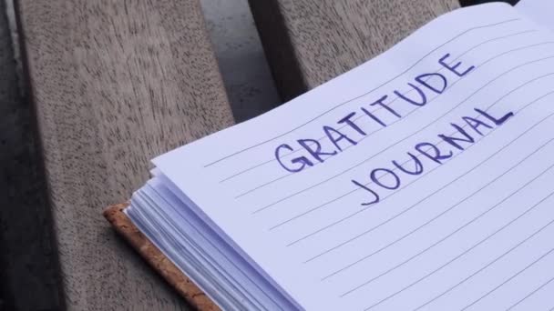 Écrire Gratitude Journal Sur Banc Bois Aujourd Hui Vous Suis — Video