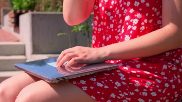 Ung Kvinna Arbetar Laptop Träbänk Parken Dricker Kaffe Från Pappersmuggen — Stockvideo