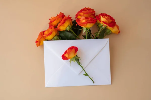 Beautiful Red Roses Flowers Postal Envelope Neutral Beige Background Copy — Fotografia de Stock