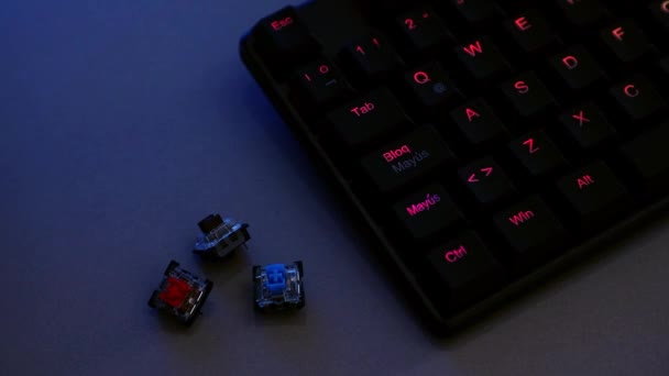 Mechanical keyboard with red, blue and brown switches — Video Stock