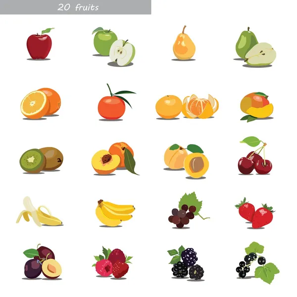 Плоды и ягоды — стоковый вектор