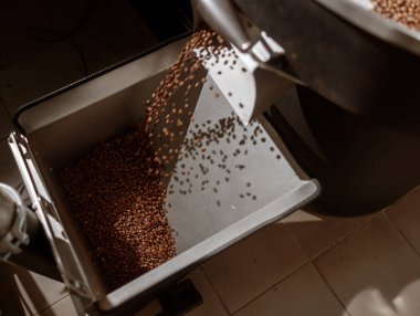 Kahverengi kavrulmuş kahve çekirdekleri endüstriyel kahve kızartma makinesinde soğutulduktan sonra metal zıpzıp içine düşüyorlar.
