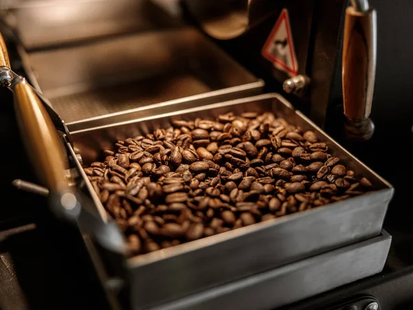 Frissen Pörkölt Kávébab Közeli Felvétele Modern Pörkölő Gép Fémtartályában — Stock Fotó