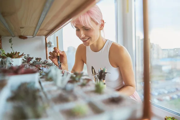 Senyum wanita dengan rambut merah muda merawat tanaman rumah yang lezat di rumah — Stok Foto