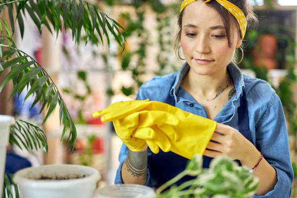 Wanita muda di celemek mengenakan sarung tangan karet kuning sambil bersiap-siap untuk pencangkokan tanaman ke dalam pot baru di rumah — Stok Foto
