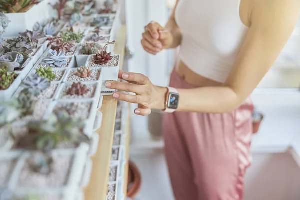 Wanita anggun dengan jam tangan cerdas mengambil indah lezat dari rak dalam ruangan — Stok Foto