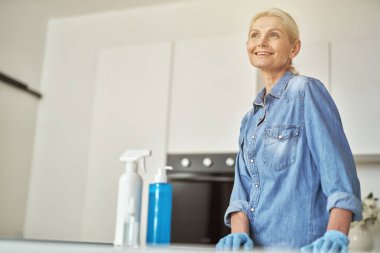 Lastik eldivenli çekici bir kadın gülümseyerek mutfağı temizlemeye hazır. Deterjan, dezenfektan spreyi ve şişenin içine jöle.