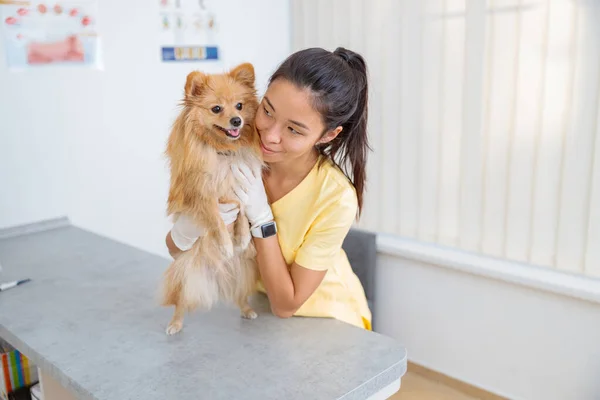 Young female veterinarian taking care of dog in clinic — Stock Photo, Image