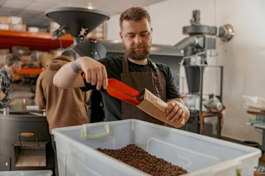 Üniformalı yakışıklı barista bir depoda çalışırken satılık kahve çekirdekleri paketliyor.
