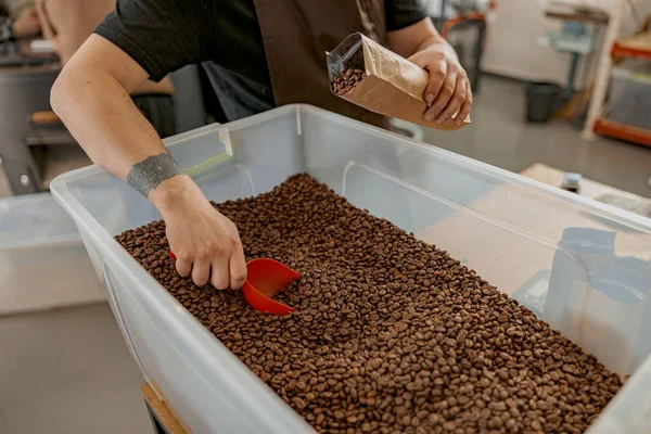 Baristák Közelsége Akik Pörkölt Kávébabot Csomagolnak Egy Raktárban Eladásra — Stock Fotó