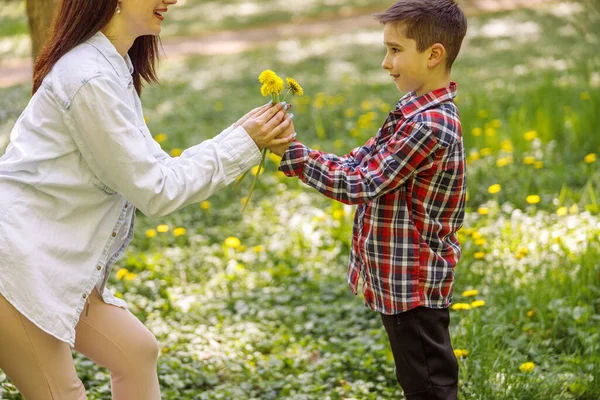 Little cute son giving flowers to mother in park. Boy handing dandelions to woman. Gift for mom.