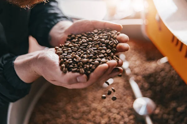 Mester Ellenőrzi Kávébab Minőségét Kis Gyárban Közelkép Kiváló Minőségű Fénykép — Stock Fotó