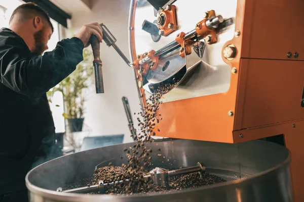 Male Barista Pouring Freshly Roasted Coffee Beans Large Coffee Roaster — Stock Fotó