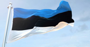 Estonya Bayrağı 4k dalgalanıyor 