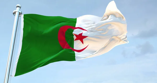 Algéria Zászló Lengő — Stock Fotó