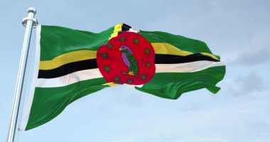 Dominica Bayrak Dalgalanması 4K