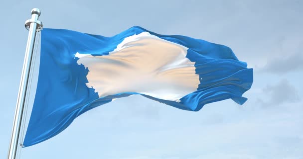 Bandeira Antártida Acenando — Vídeo de Stock