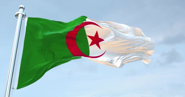 Bendera Aljazair Melambaikan — Stok Video