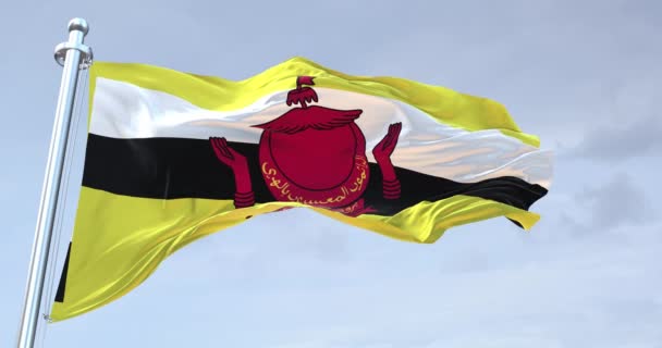 Bandera Brunei Ondeando — Vídeo de stock