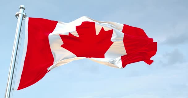 Kanada Zászló Integetett — Stock videók