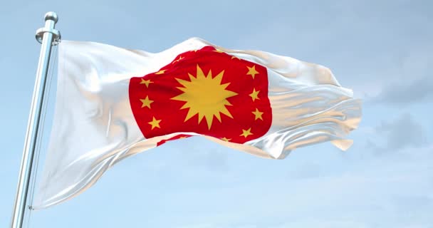 Emblem Des Präsidenten Der Türkischen Republik Flagge Schwenkend — Stockvideo