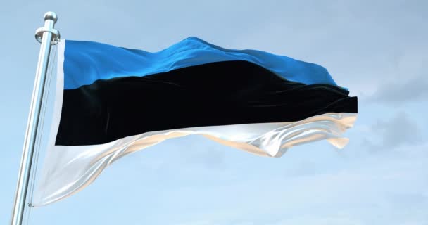 Estland Vlag Zwaaien — Stockvideo