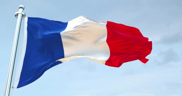 Bandera Francia Ondeando — Vídeo de stock