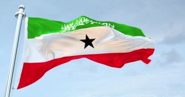 Somaliland Bayrağı 4K sallıyor. 